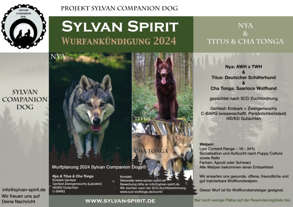 Wurfplanung Sylvan Companion Dogs 2024 